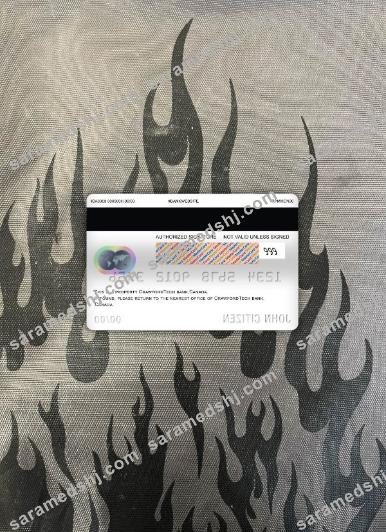 Canada Crawfordtech bank master debit card photolook back